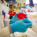 Présentation de la collecte d'un échantillon composite pour des tests en laboratoire