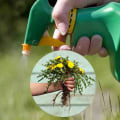 Tuer les mauvaises herbes avec des herbicides