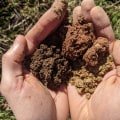 Tester la fertilité du sol : un aperçu complet des tests de pH