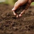 Comment trouver des fournisseurs locaux de terre végétale