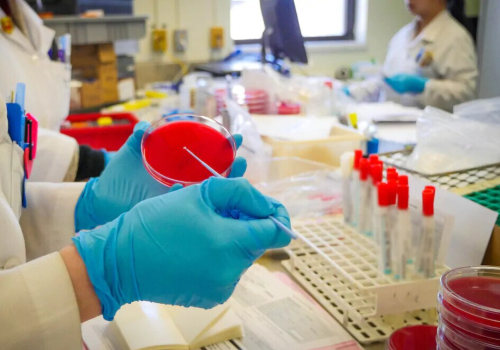 Présentation de la collecte d'un échantillon composite pour des tests en laboratoire