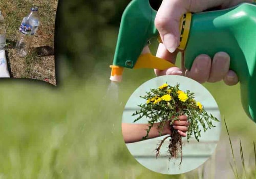 Tuer les mauvaises herbes avec des herbicides