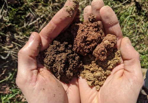 Tester la fertilité du sol : un aperçu complet des tests de pH