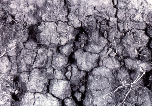 Sandy Loam : un aperçu de la terre arable à base d'argile