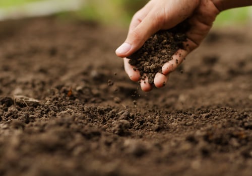 Comment trouver des fournisseurs locaux de terre végétale