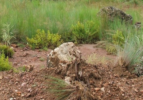 Utiliser la végétation pour réduire les impacts de l'érosion