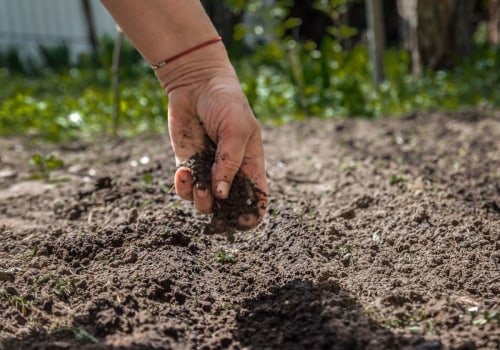 Découvrir le mélange de terre végétale : ce que vous devez savoir