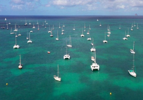 Livraison de terre végétale par bateau : un aperçu complet